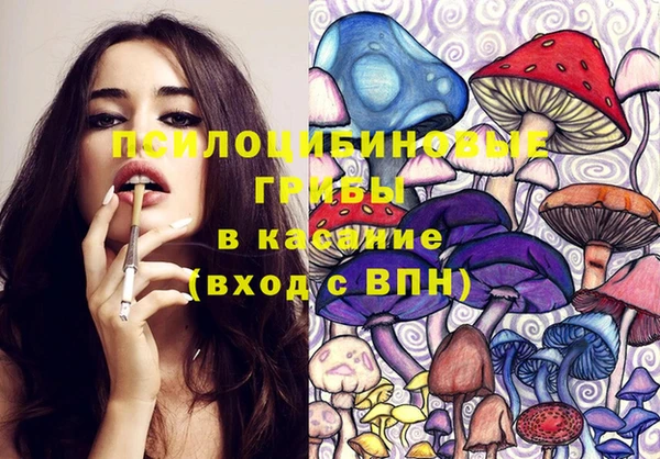 крисы Арсеньев