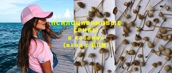 крисы Арсеньев